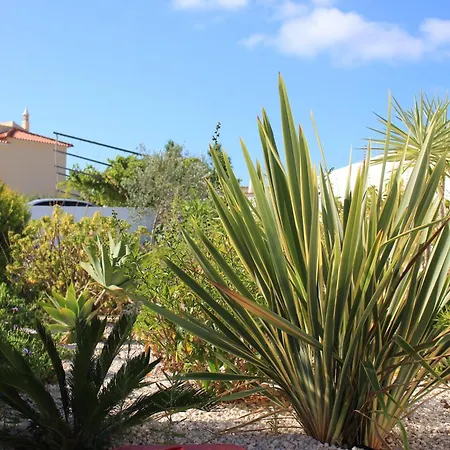 Sunshine 3* Αλμπουφέιρα